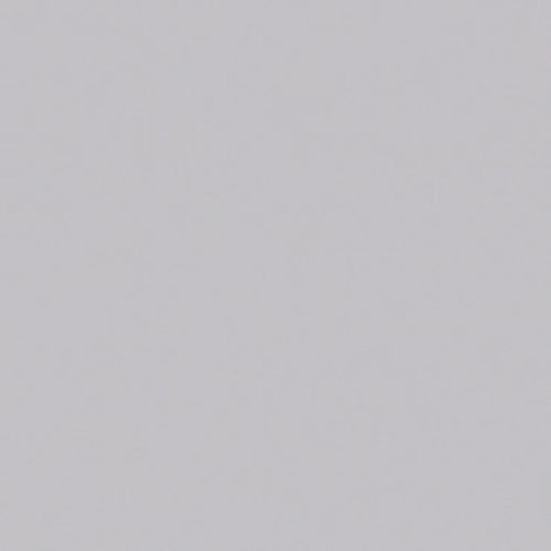 Light-gray smooth wall surface filling the entire frame; uniformly lit and featureless, showing no window dressings, fixtures, furniture, or other contextual details.