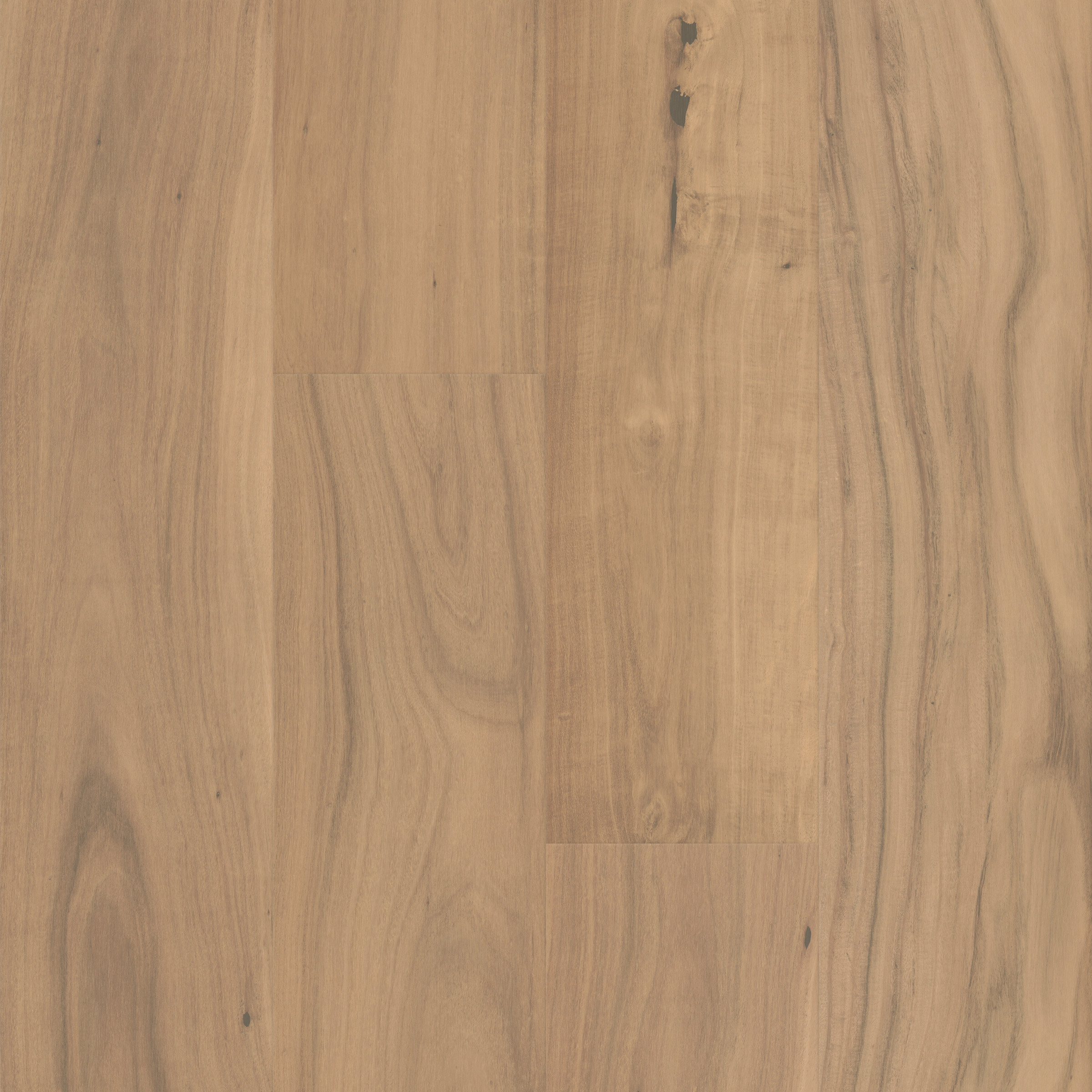 Clarified Acacia Varietals Threshold view 3