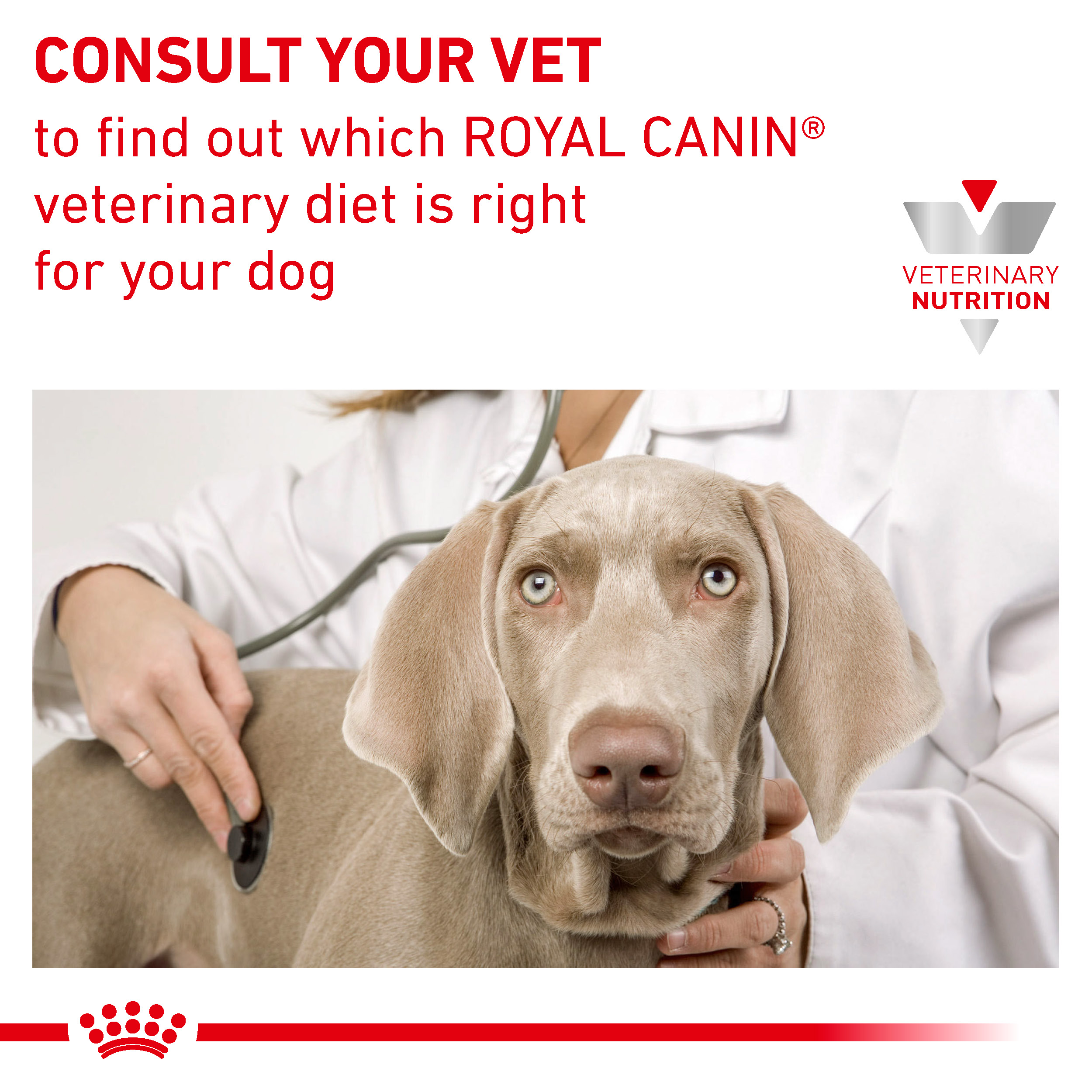 ROYAL CANIN® VETERINARY HEALTH NUTRITION CARDIAC Dry Pet Food for Dogs