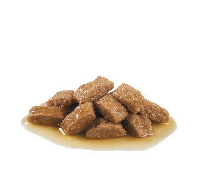 Medium Ageing 10+ (in gravy) kibble