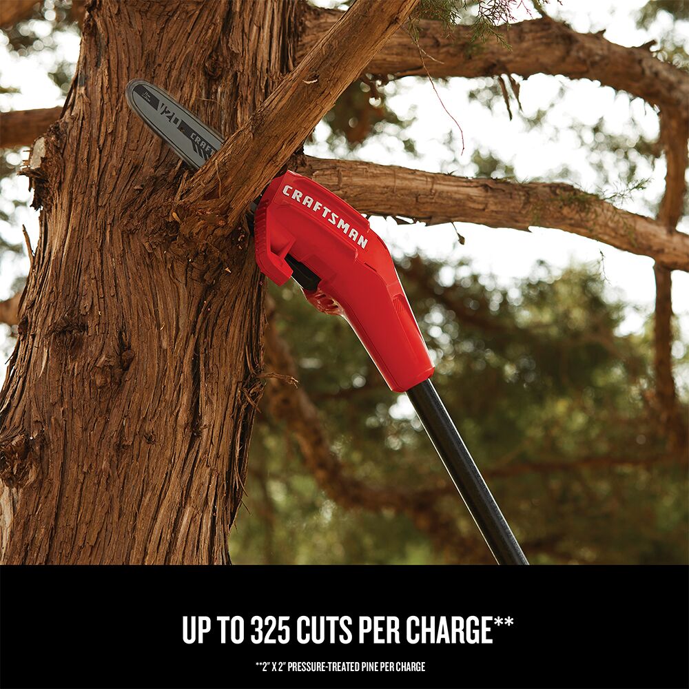 Graphic of CRAFTSMAN Pole Saws highlighting product features