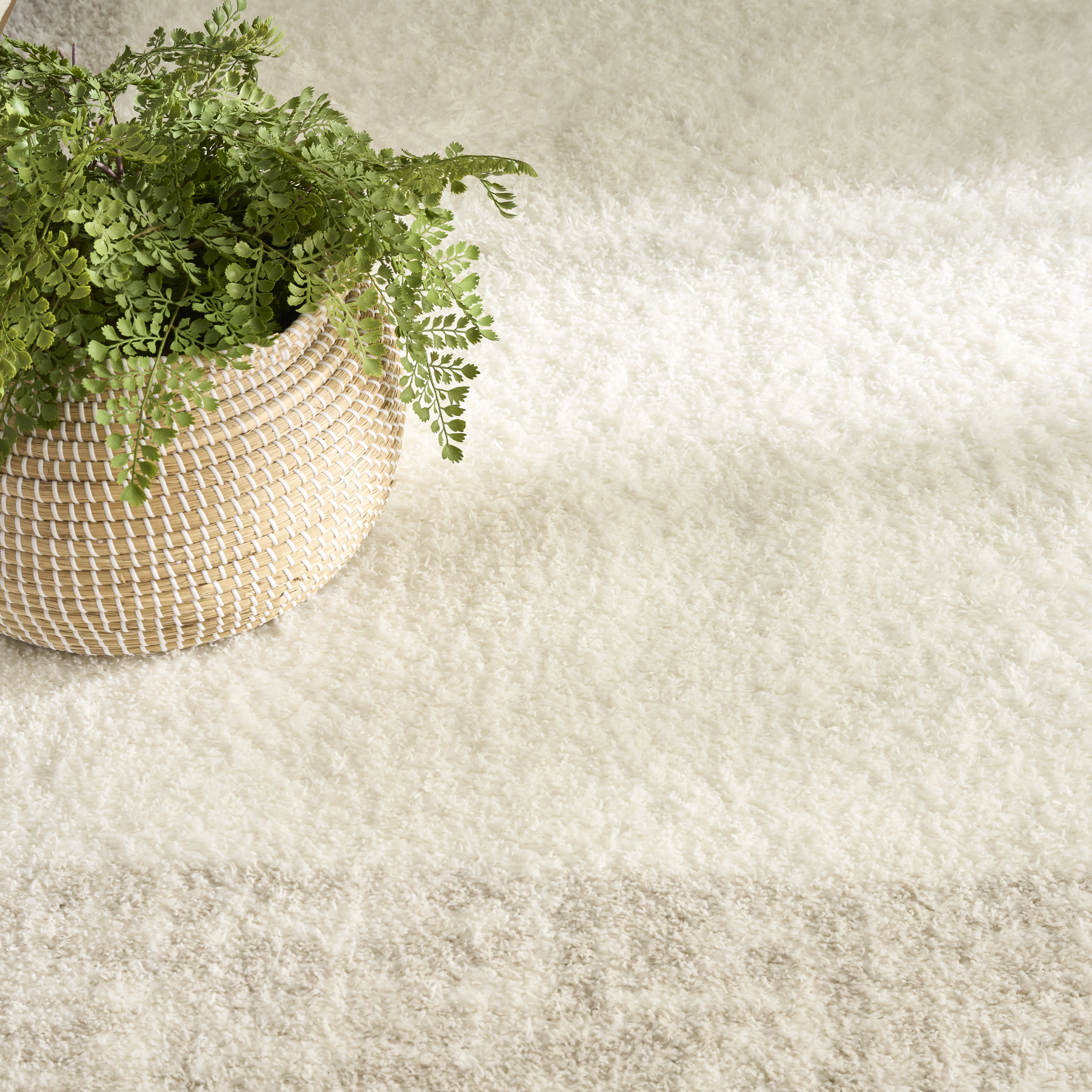 Nourison Pacific Shag 5'3" x 7'3" Ivory Beige Shag Indoor Rug