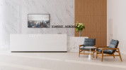 Quartz Troyes, Wright 65x130 Slab Polished 