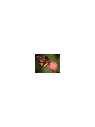 s--DiaqK0v3--/eg4whht5l0vptcbflgj5.jpg