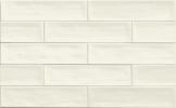 Tongue in Chic You Don’T Snow Me 2-1/2×10-1/2 Wall Tile Gloss