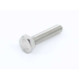Screw 6X30 Uni 5739 A2 Te