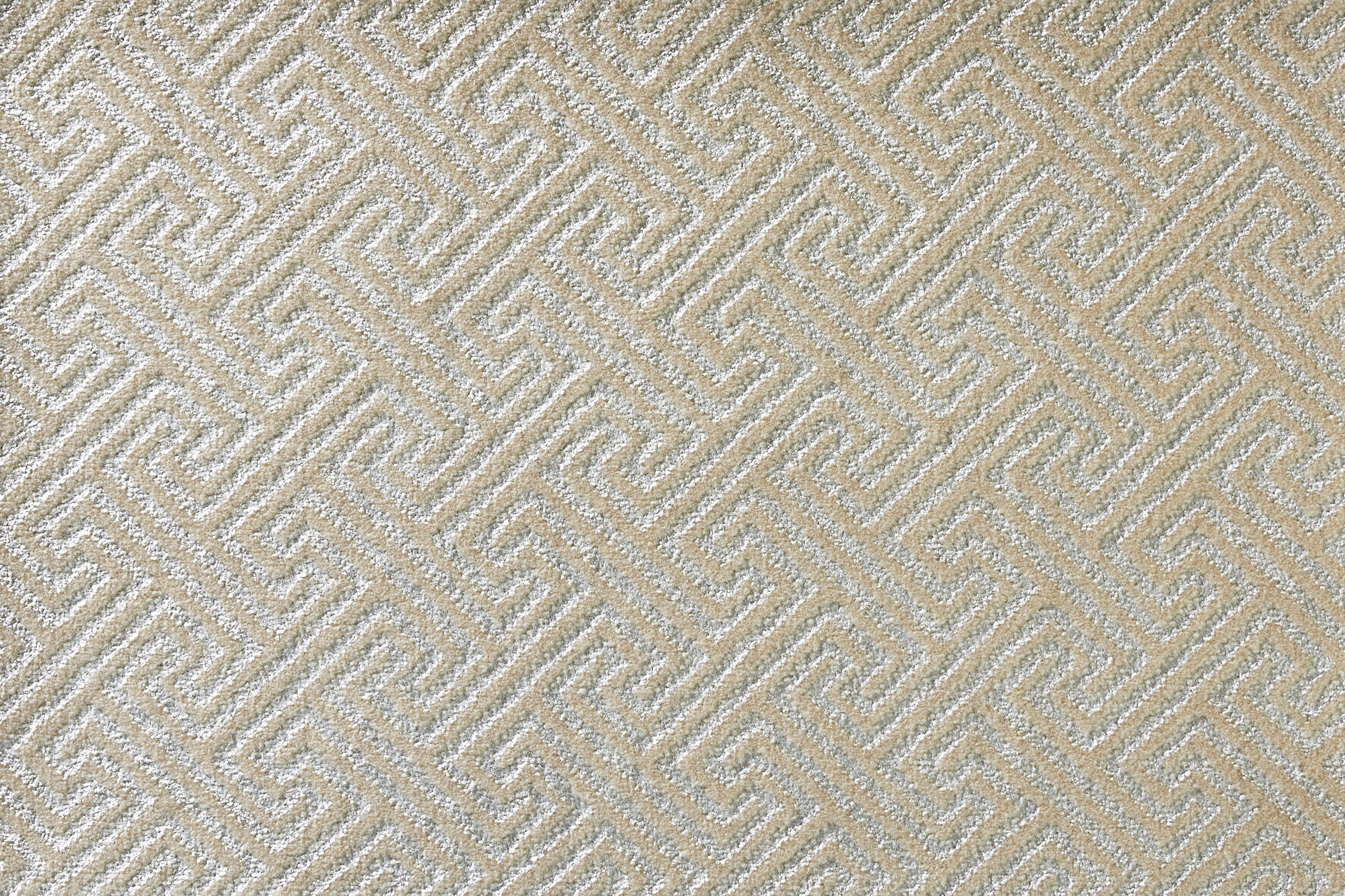 color-rug1