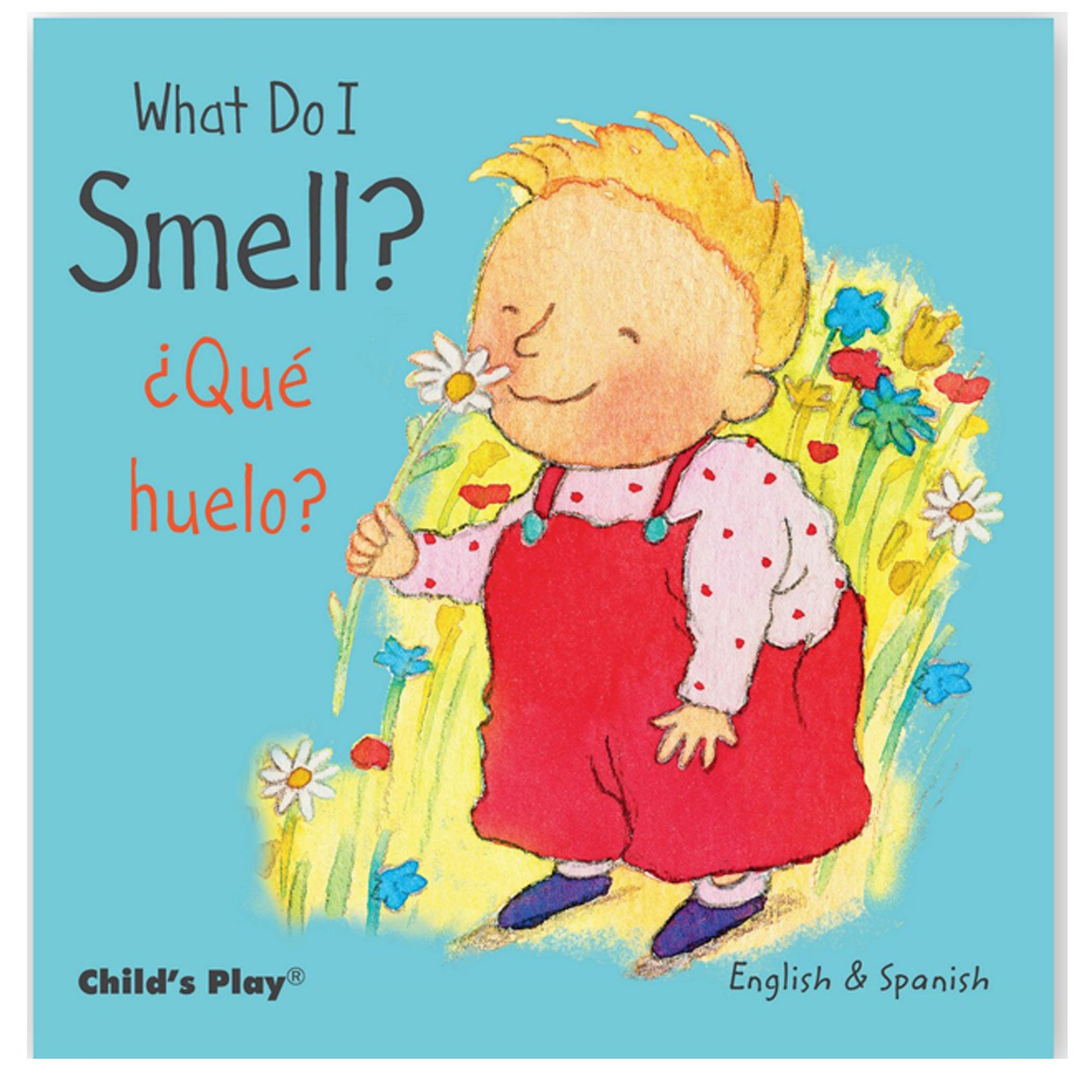 Child's Play Books Small Senses Bilingual Board Books, Set of 5 image number null