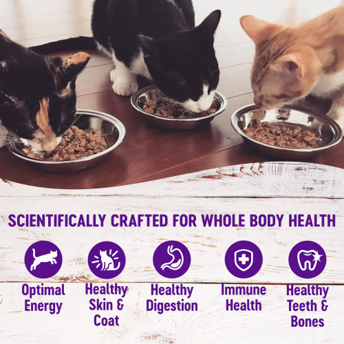 The benifts of Wellness Complete Health Healthy Indulgence Morsels Turkey & Duck