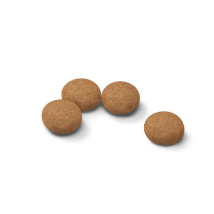 Ageing sterilised 12+ kibble