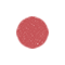 06 ROSE NU