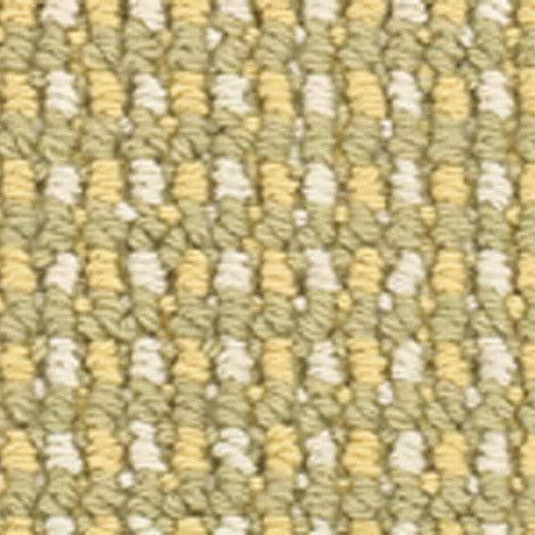 color-rug1