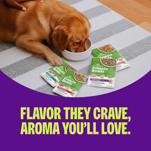 The benefits of Wellness Protein Bowls Turkey, Cranberries & Peas