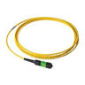 Fiber Optic Patch Cable, 10 ft.