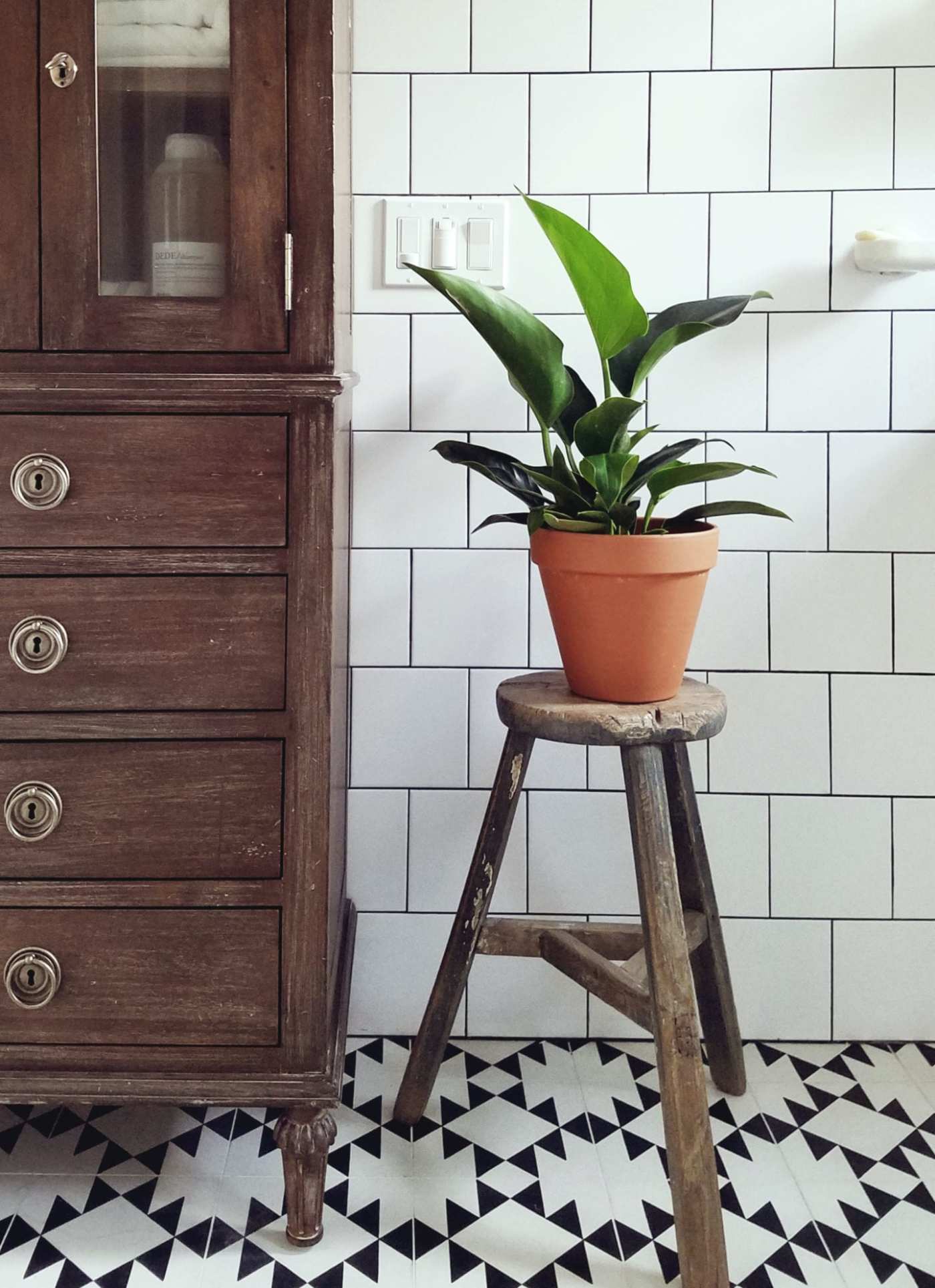 a black and white tiled room with a potted plant on a stool.