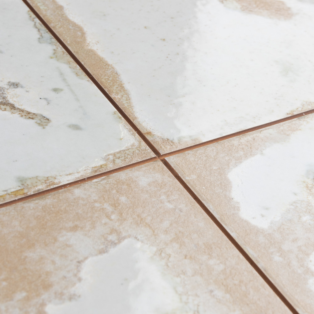 Kings Luxe Heritage White 17-5/8 in. x 17-5/8 in. Ceramic Floor and Wall Tile