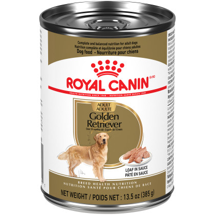 Royal Canin Breed Health Nutrition Golden Retriever Adult Loaf In Sauce Dog Food