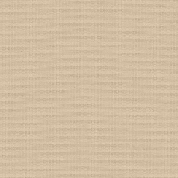A uniform beige color block fills the frame, appearing as a smooth, featureless swatch with even tone and no visible texture, markings, or distinct objects.