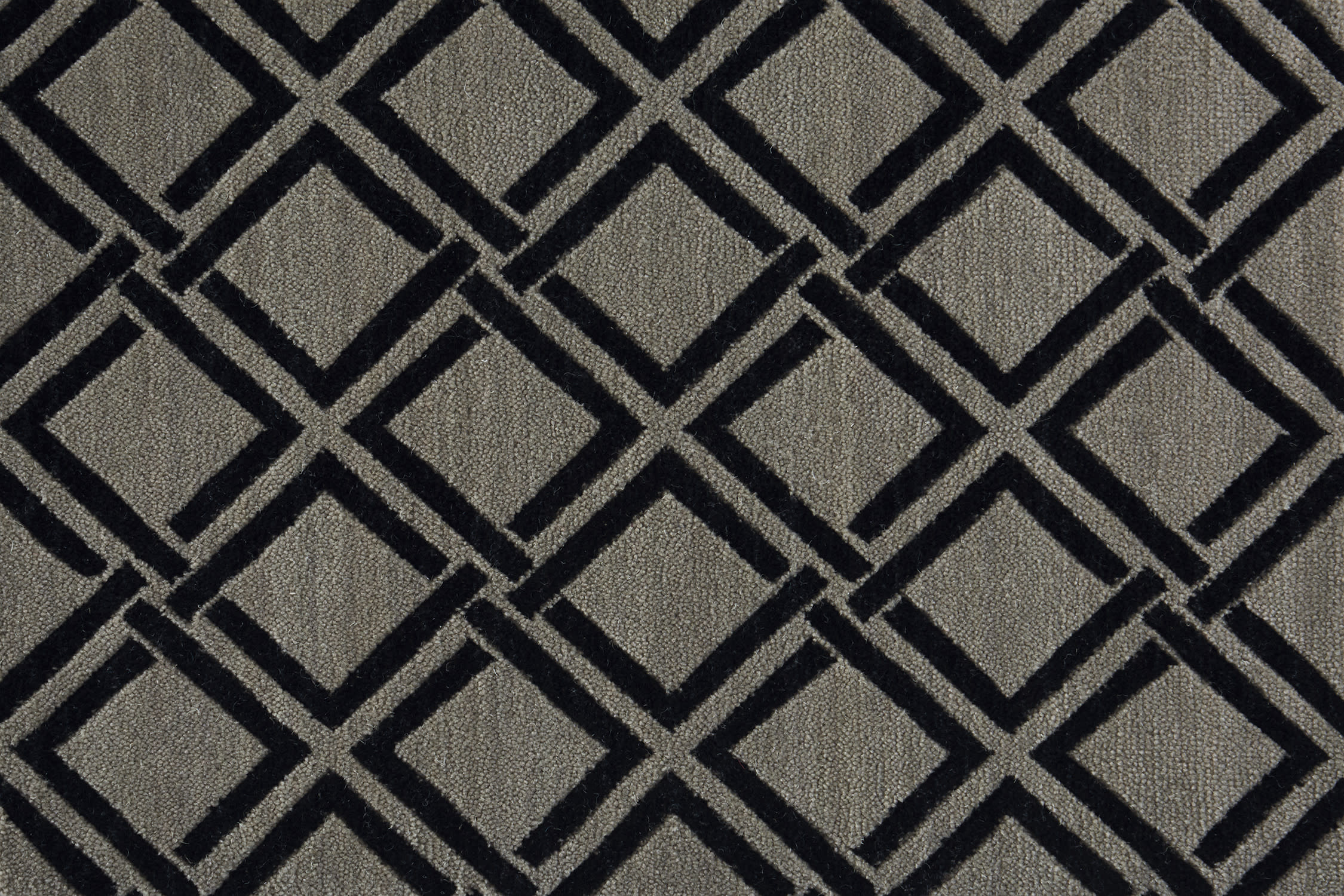 color-rug1