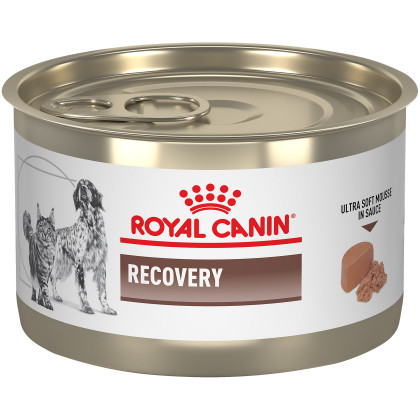 Recovery Ultra Soft Mousse in Sauce Canned Cat and Dog Food