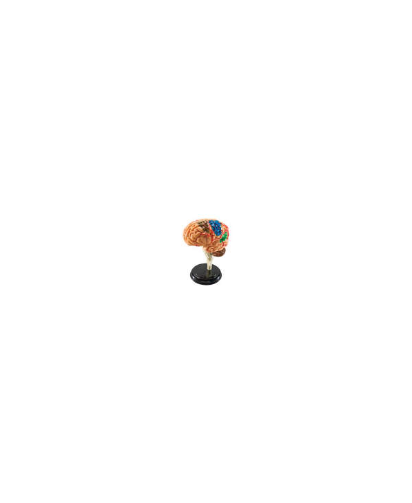 s--EGbTVlN1--/d8fptqk2pyejterblofx.jpg