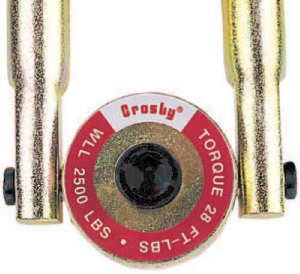 Crosby HR-125 Swivel Hoist Rings image