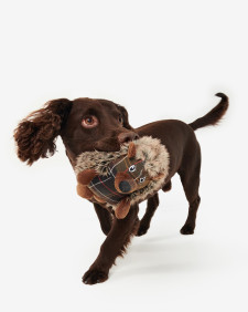 Dog Hedgehog Toy Brown-Tartan