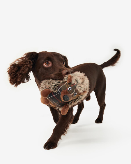Spielzeug Dog Hedgehog