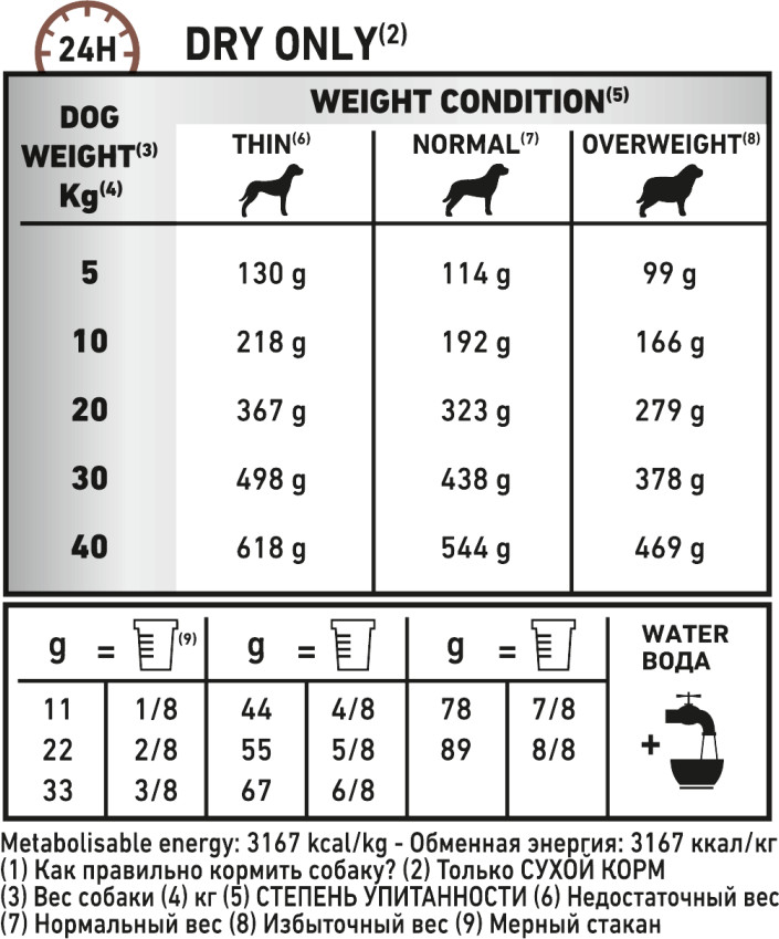 Feeding Guide