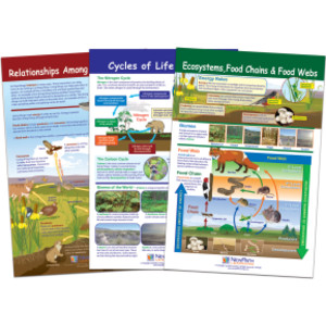 Ecology Bulletin Board Chart Set, Grades 3-5