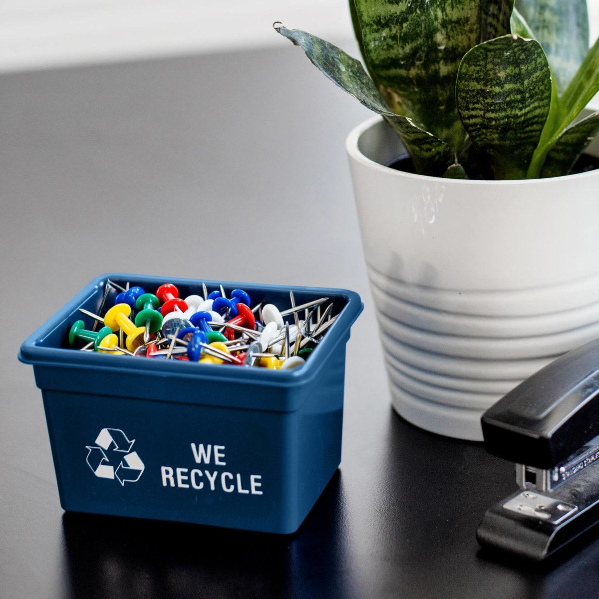 promotional mini curbside recycling bin in blue with push pins inside sitting on an office desk