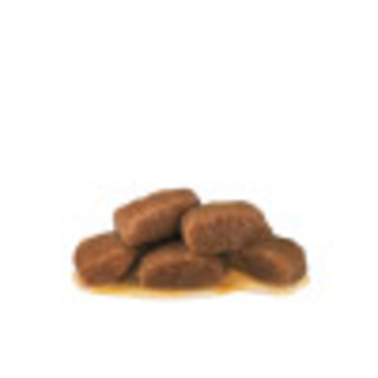 Renal With Beef (in gravy) kibble