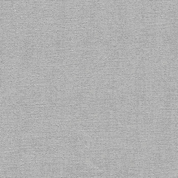 Karlina Silver Roller Blind