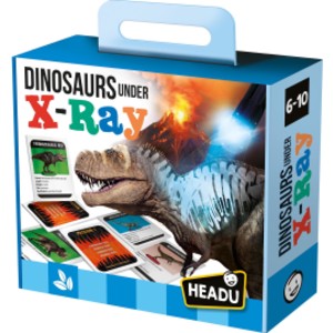 Dinosaurs under X-Ray