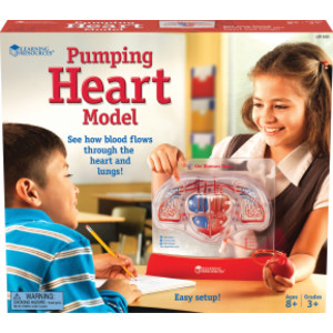 Pumping Heart Model