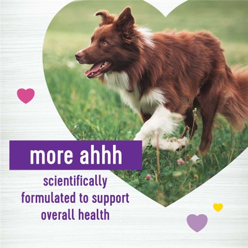 The benifts of Wellness Supplements Multi-Benefit