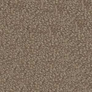 color-rug1