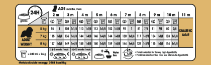 Cavalier King Charles Puppy feeding guide