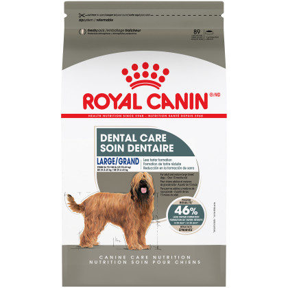 Royal Canin Canine Care Nutrition Large Dental Care Dry Dog Food