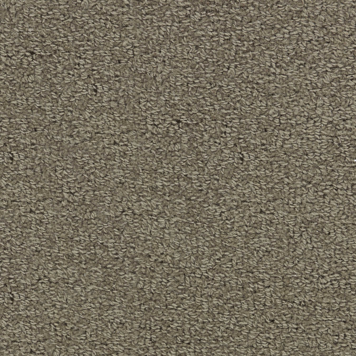 color-rug1
