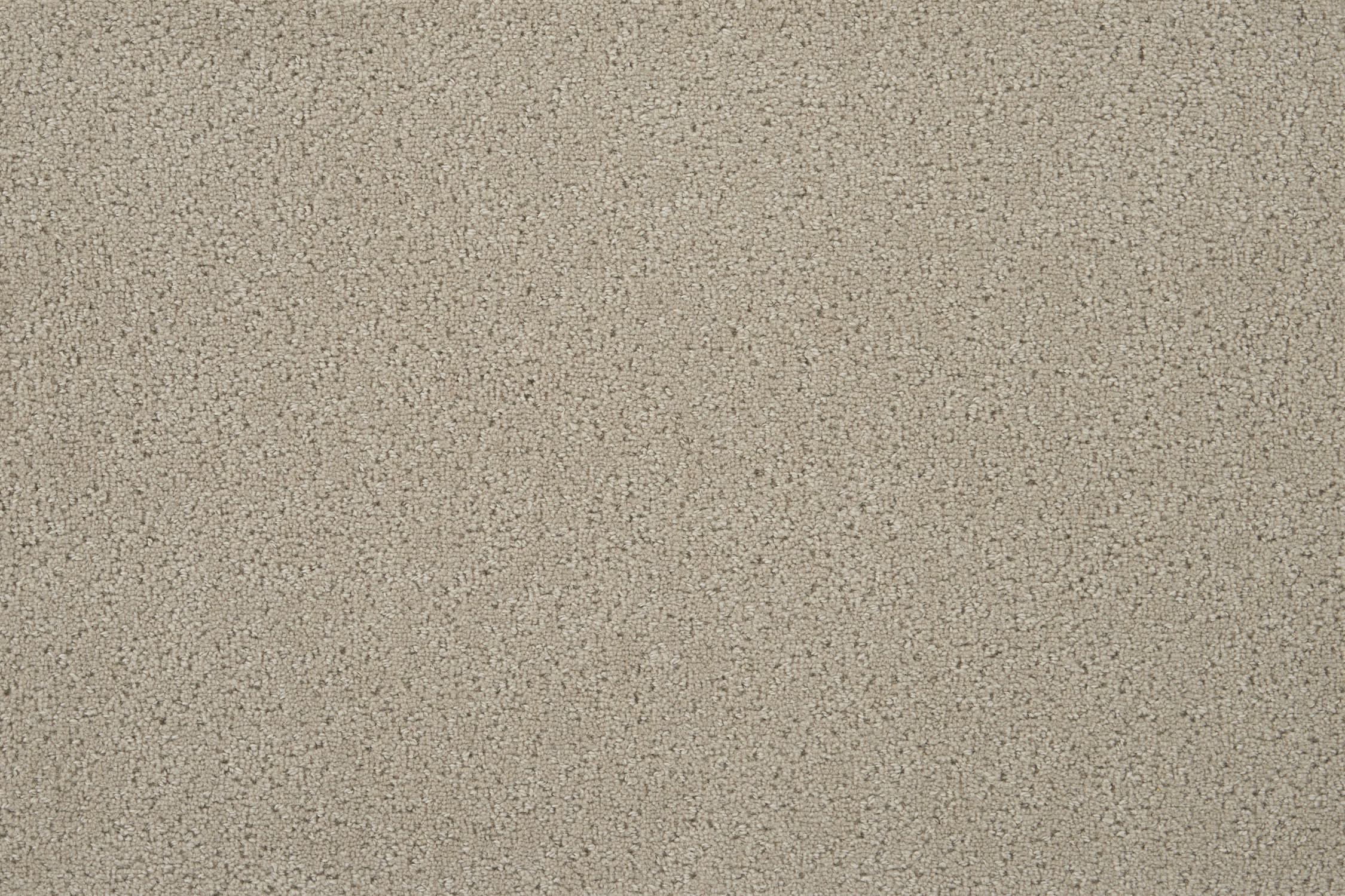 color-rug1
