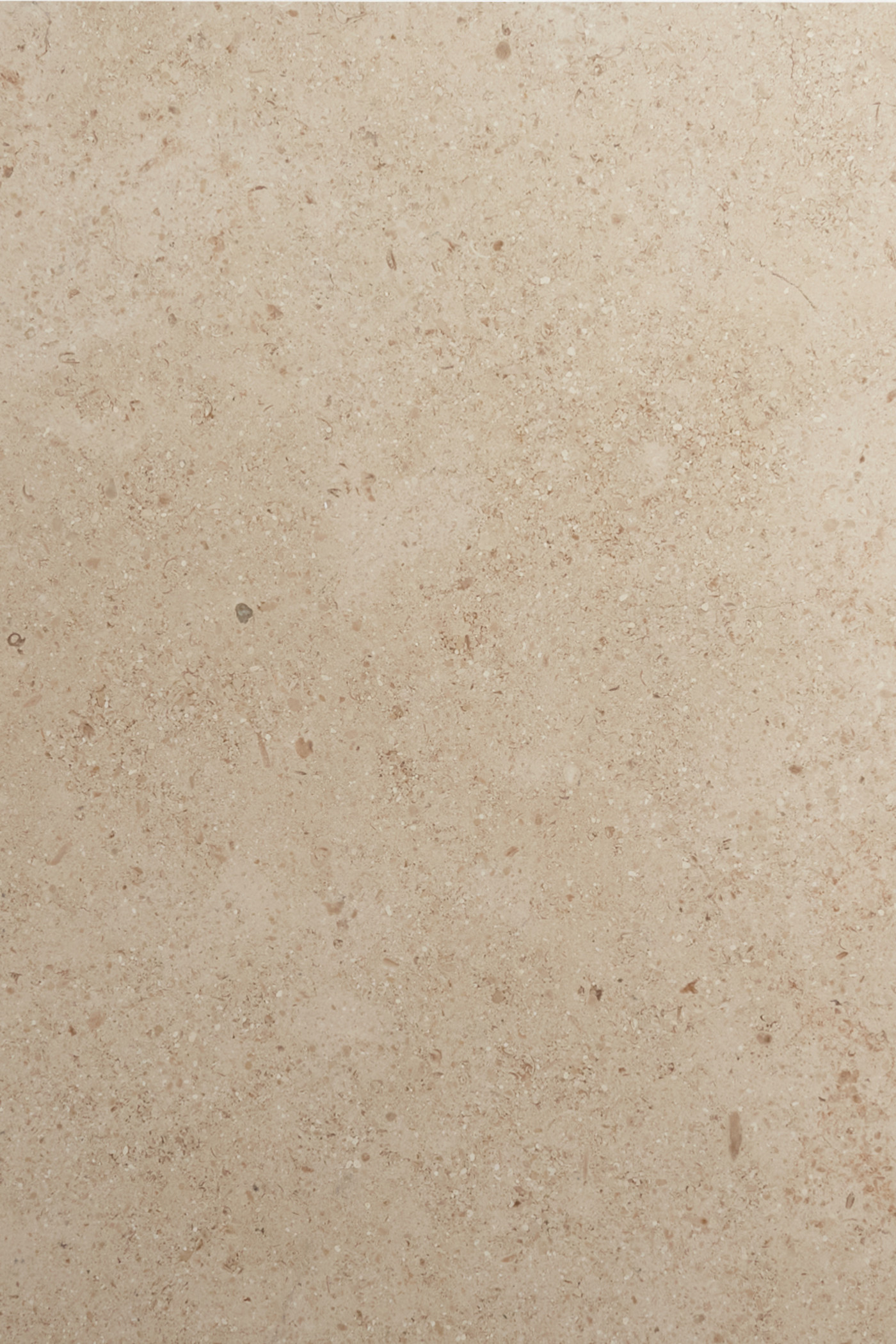 a close up image of a beige tile.