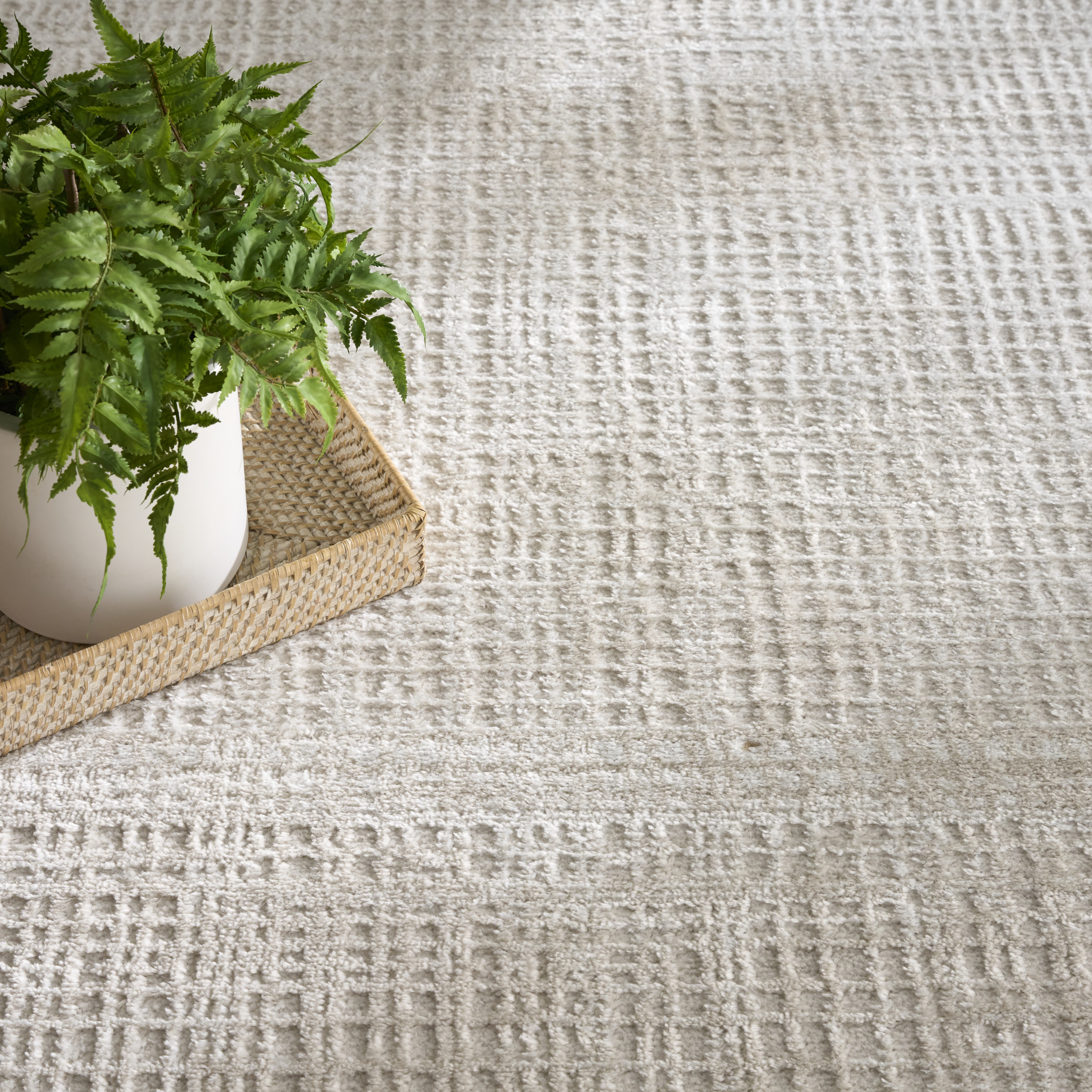 Nourison Dekor 4' x 6' Beige Modern Indoor Rug