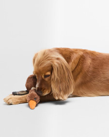 Giocattolo per cani a forma di anatra in volo Brown
