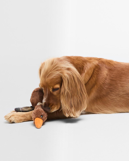 Giocattolo per cani a forma di anatra in volo