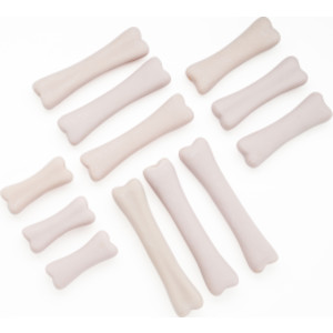 Dinosaur Bones Discovery Set, Pack of 12