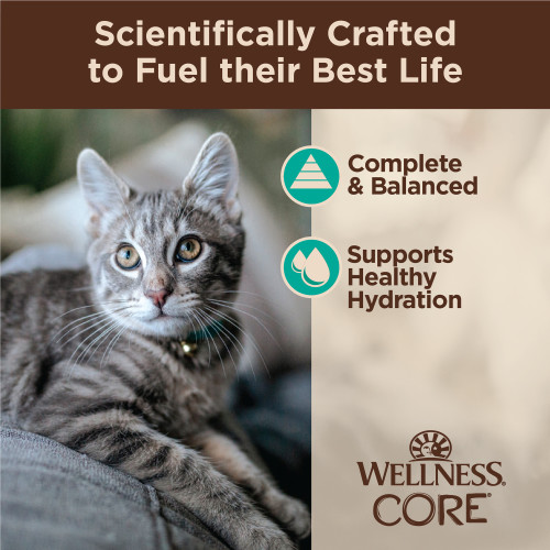 The benifts of Wellness CORE Tiny Tasters Flaked Tuna & Salmon