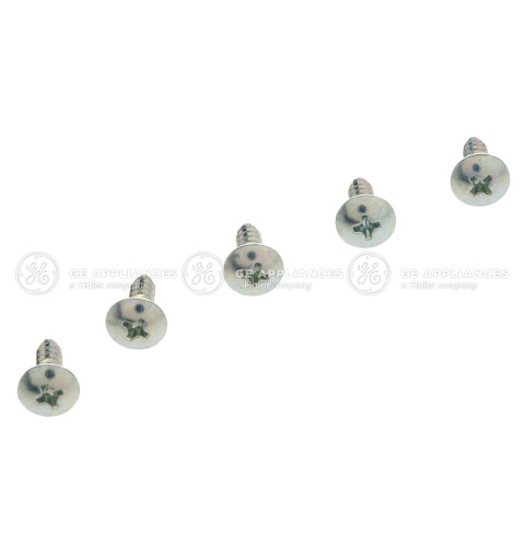 CUSTOM DOOR LOWER LOCK & DOOR HANGING SCREW