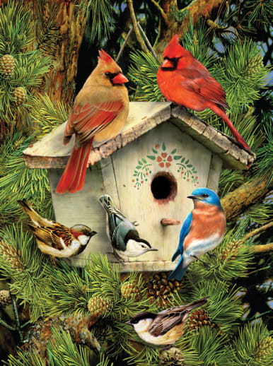 Painting By Numbers - Native Neighbors (Junior Small)