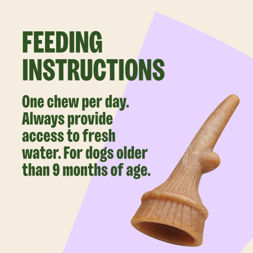 One chew per day. Always provide access to fresh water. For dogs older than 9 months of age.